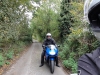 80